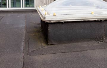 disadvantages of Alltsigh flat roofs