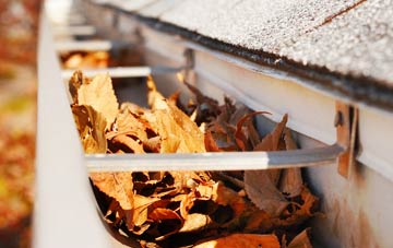Alltsigh gutter cleaning companies