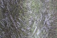 Alltsigh fibreglass roof work